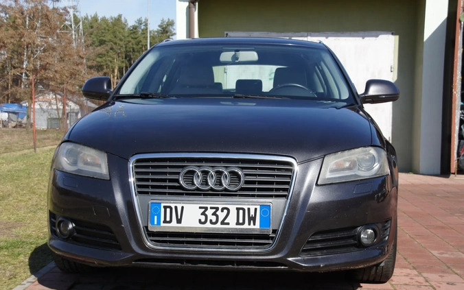 Audi A3 cena 26500 przebieg: 195803, rok produkcji 2009 z Połaniec małe 56